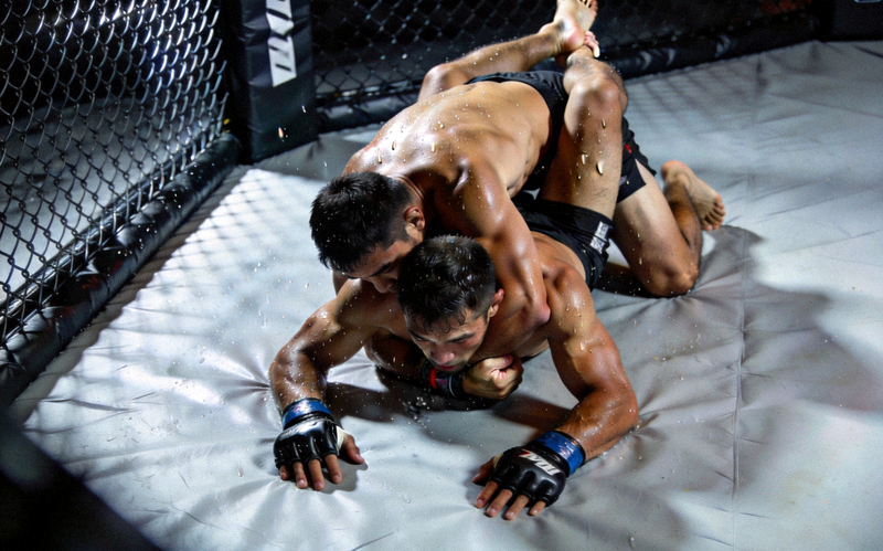 UFC综合格斗冠军赛激烈对抗 - 两位选手在八角笼中进行地面缠斗