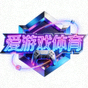 爱游戏体育官方小图标 - 赛博风格品牌徽标